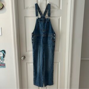 Jessica Simpson Denim Overalls
